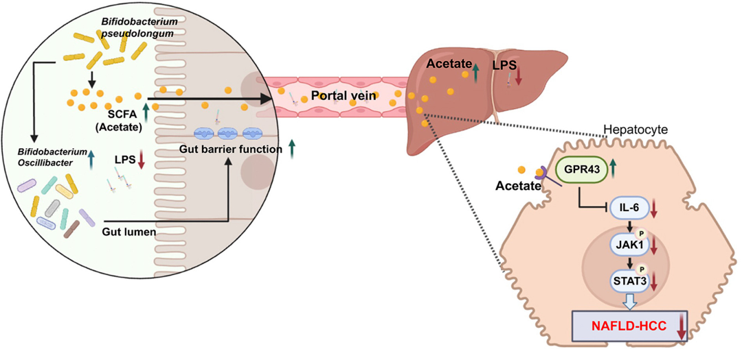 1689746206571994.png 2.png